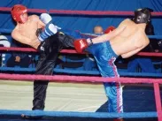 Смешанные боевые искусства